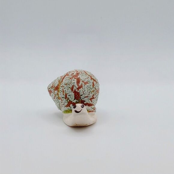 Crackle shell snail - Picture 2 of 7